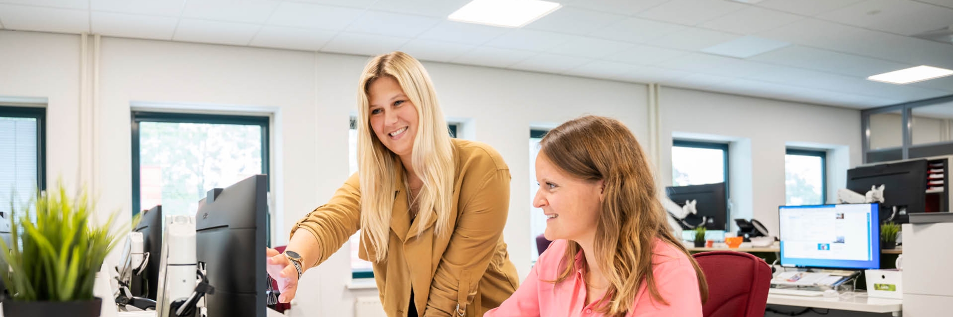 Nieuw Talent Gezocht! | Werken Bij ZLM